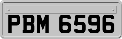 PBM6596