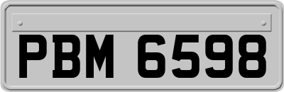 PBM6598