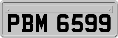 PBM6599