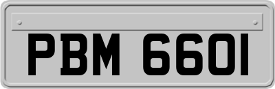 PBM6601