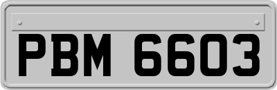 PBM6603