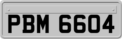 PBM6604