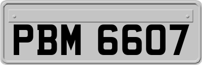 PBM6607