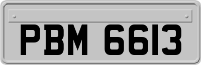 PBM6613