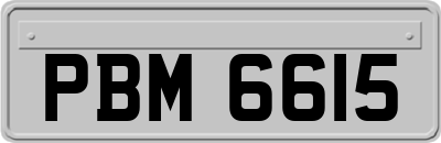 PBM6615