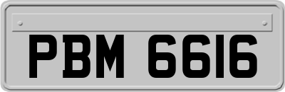 PBM6616