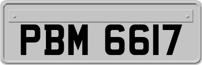 PBM6617