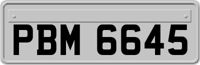 PBM6645