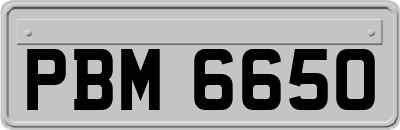 PBM6650