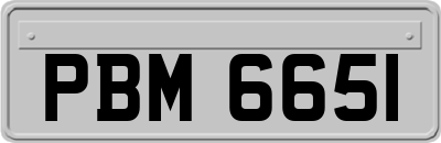 PBM6651