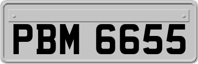 PBM6655