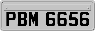 PBM6656