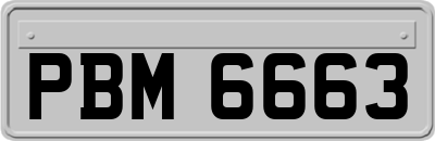 PBM6663