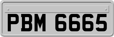 PBM6665