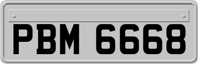 PBM6668