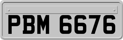 PBM6676