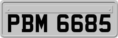 PBM6685