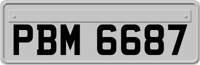 PBM6687