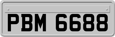 PBM6688