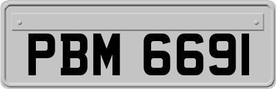 PBM6691