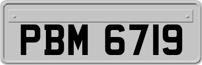 PBM6719