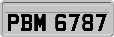 PBM6787