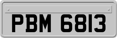 PBM6813