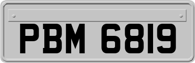 PBM6819