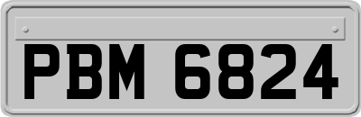 PBM6824