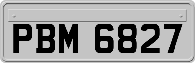 PBM6827