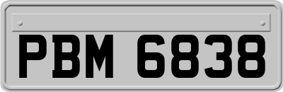 PBM6838