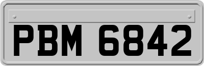 PBM6842