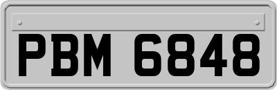 PBM6848