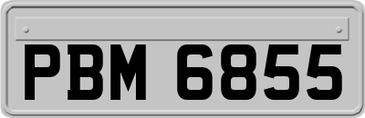 PBM6855