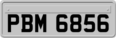 PBM6856