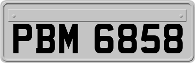 PBM6858