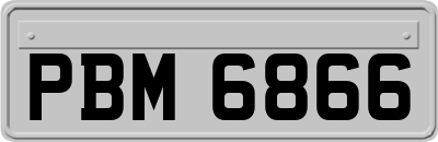 PBM6866