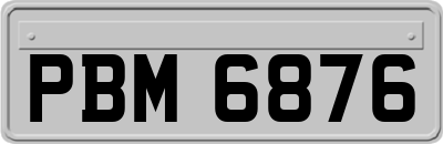 PBM6876