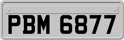 PBM6877