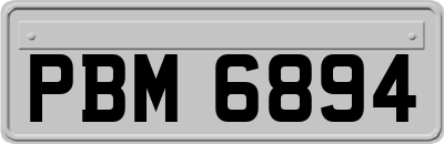 PBM6894