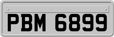 PBM6899