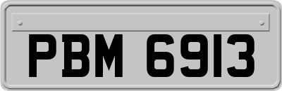 PBM6913