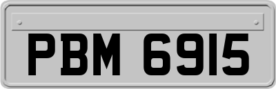 PBM6915