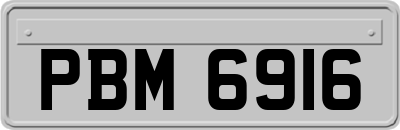 PBM6916