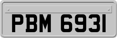 PBM6931