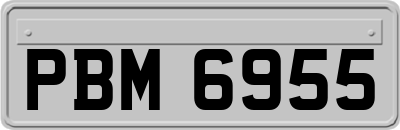 PBM6955