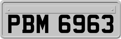 PBM6963