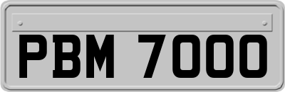 PBM7000