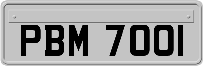 PBM7001