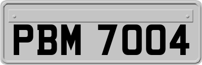 PBM7004